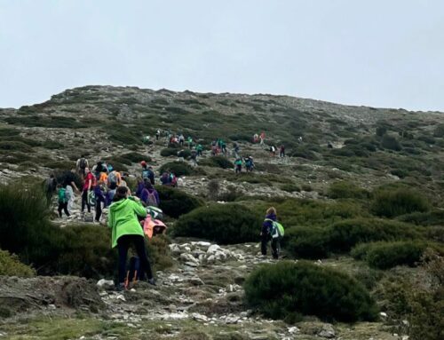 El Sector Ripollès, Osona i Moianès estrena una nova activitat de sector!